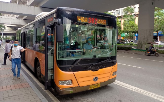 重庆公交车迷图片