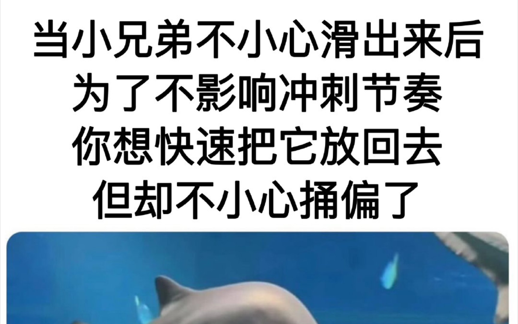 今日网络沙雕梗图#257