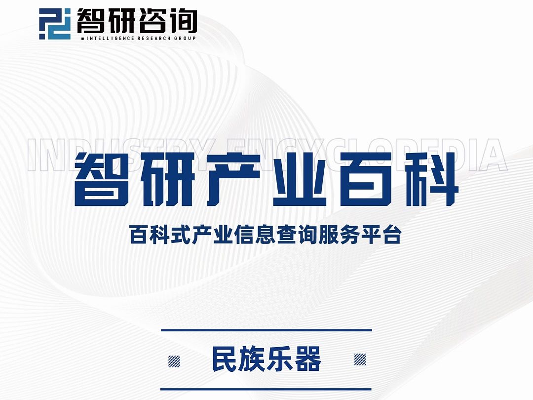 2024年中国民族乐器行业市场现状及市场竞争格局研究报告哔哩哔哩bilibili