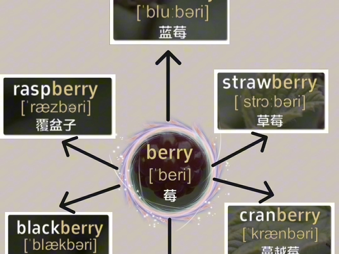 用这个方法背单词,碎片时间也能词汇量猛增#英语 #英语单词 #学英语 #背单词 #英语学习哔哩哔哩bilibili