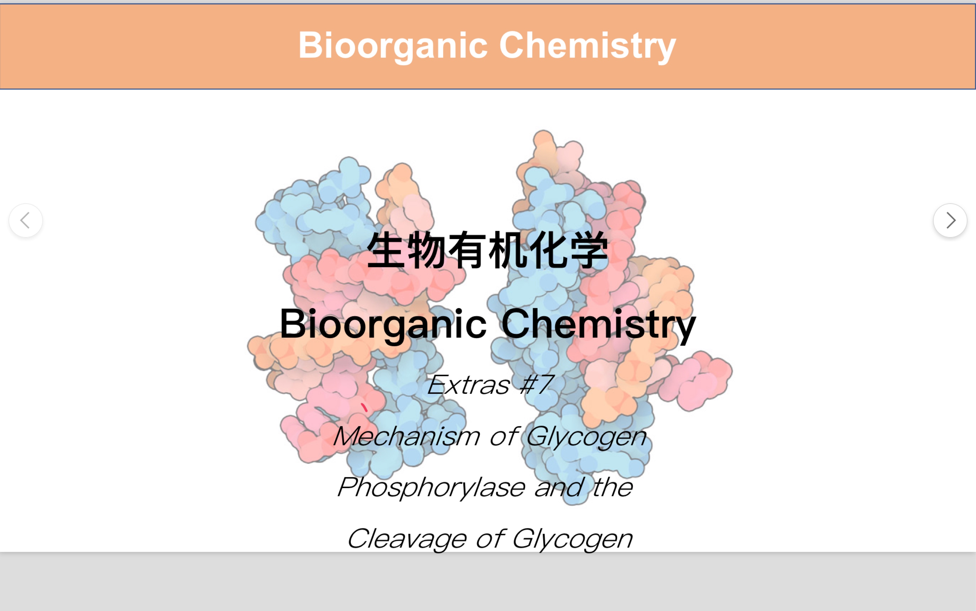 [图]机制特殊的PLP依赖酶：糖原磷酸化酶与糖原的裂解｜生物有机化学番外篇 #7