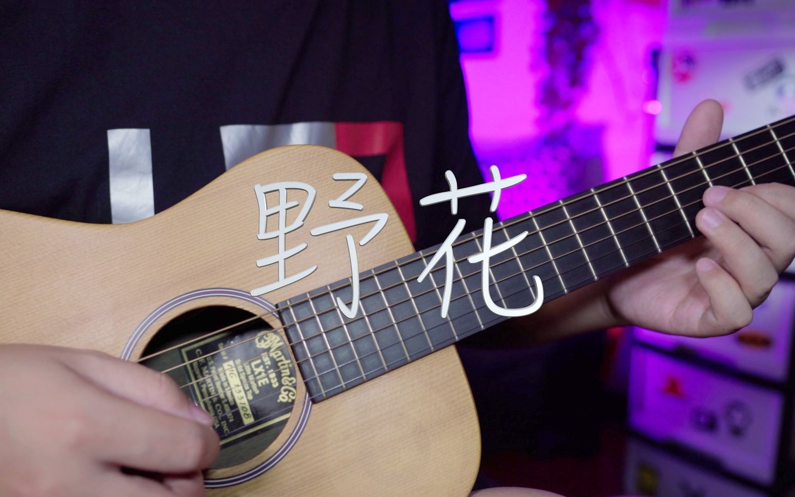 吉他弹唱田震《野花》一首经典老歌