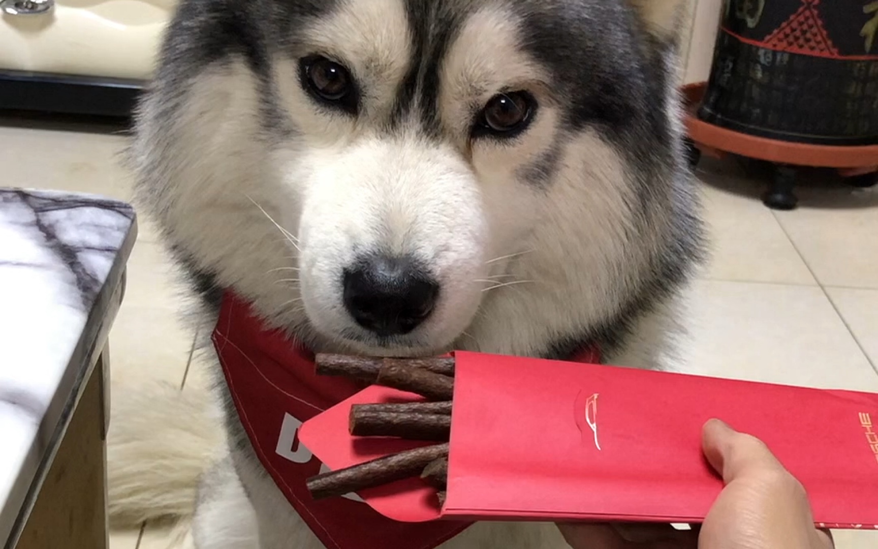 哈k这眼神我有点看不懂啊?_哔哩哔哩 (゜-゜)つロ 干杯~-bilibili