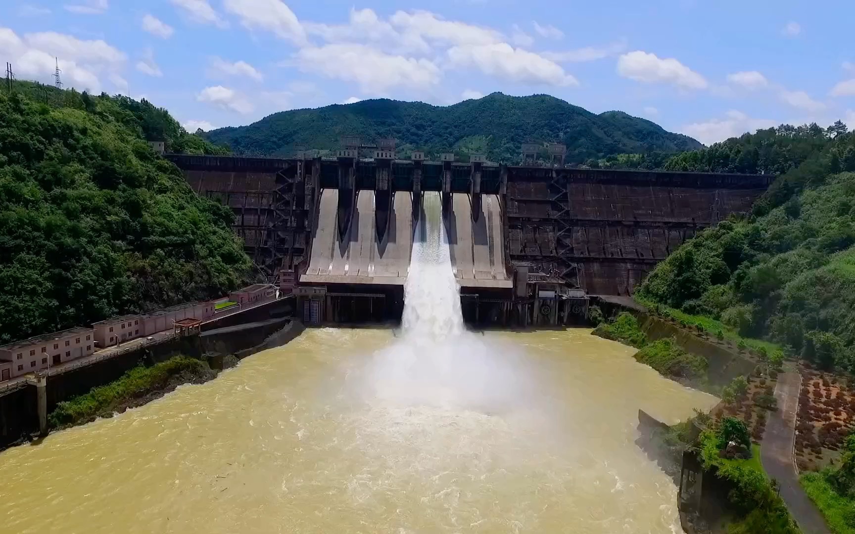 实拍广东龙川枫树坝水库开闸泄洪,水龙怒涛翻卷气势如虹,太壮观了