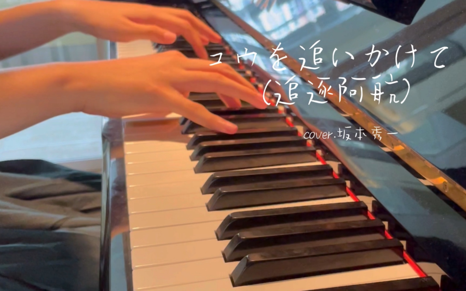 「钢琴」コウを追いかけて (追逐阿航) | 山茶花的红终究抵不过大海