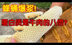 Download Video: 这不是虐杀！是我们蜂农必要的清理工作！大家理性看待！！要不会很影响蜂群的工作效率。