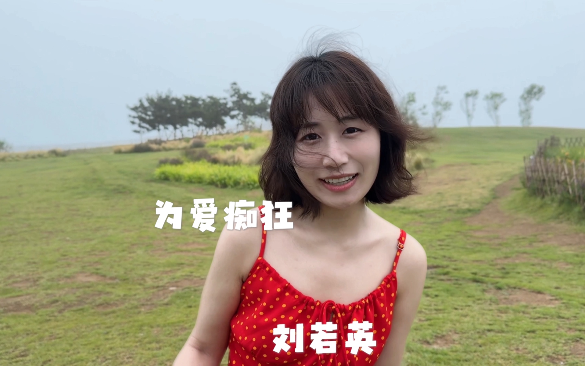 为爱痴狂 刘若英 翻唱