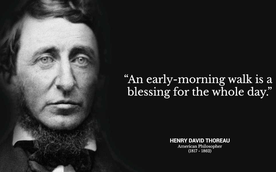 [名人箴言]梭罗 Henry David Thoreau Quotes哔哩哔哩bilibili