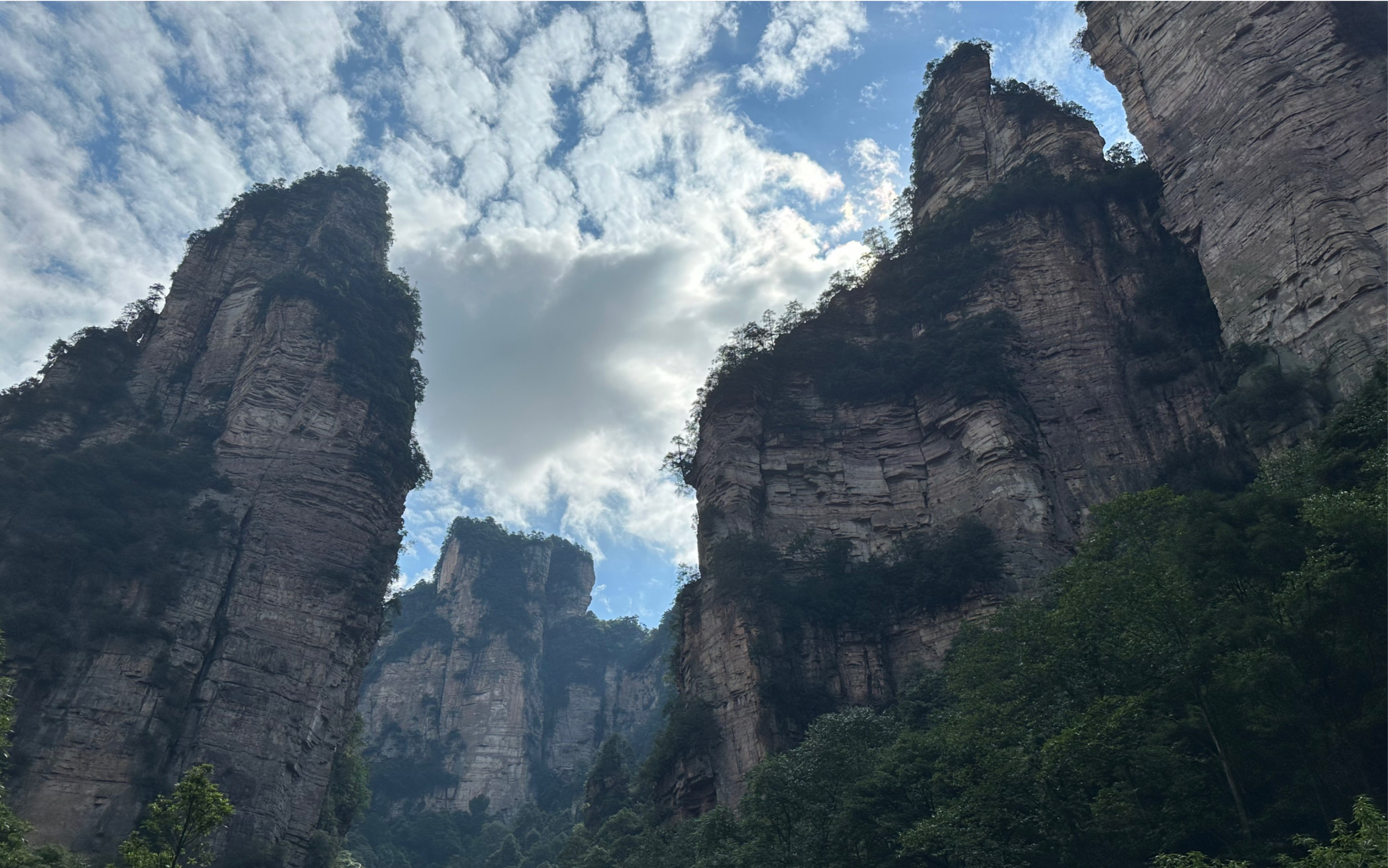 张家界地貌类型多样图片