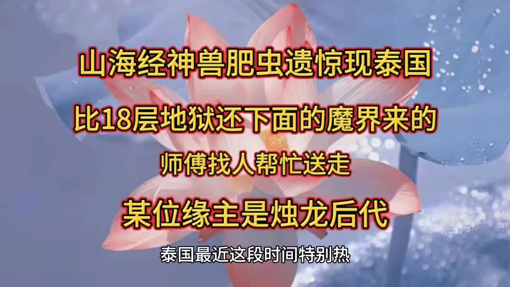 山海经神兽肥虫遗惊现泰国 某位缘主是烛龙后代