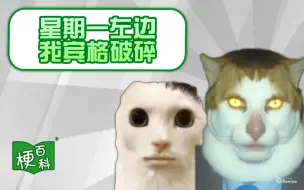 Download Video: 【梗百科】星期一猫猫头是啥梗？有点吓人但又有点可爱？