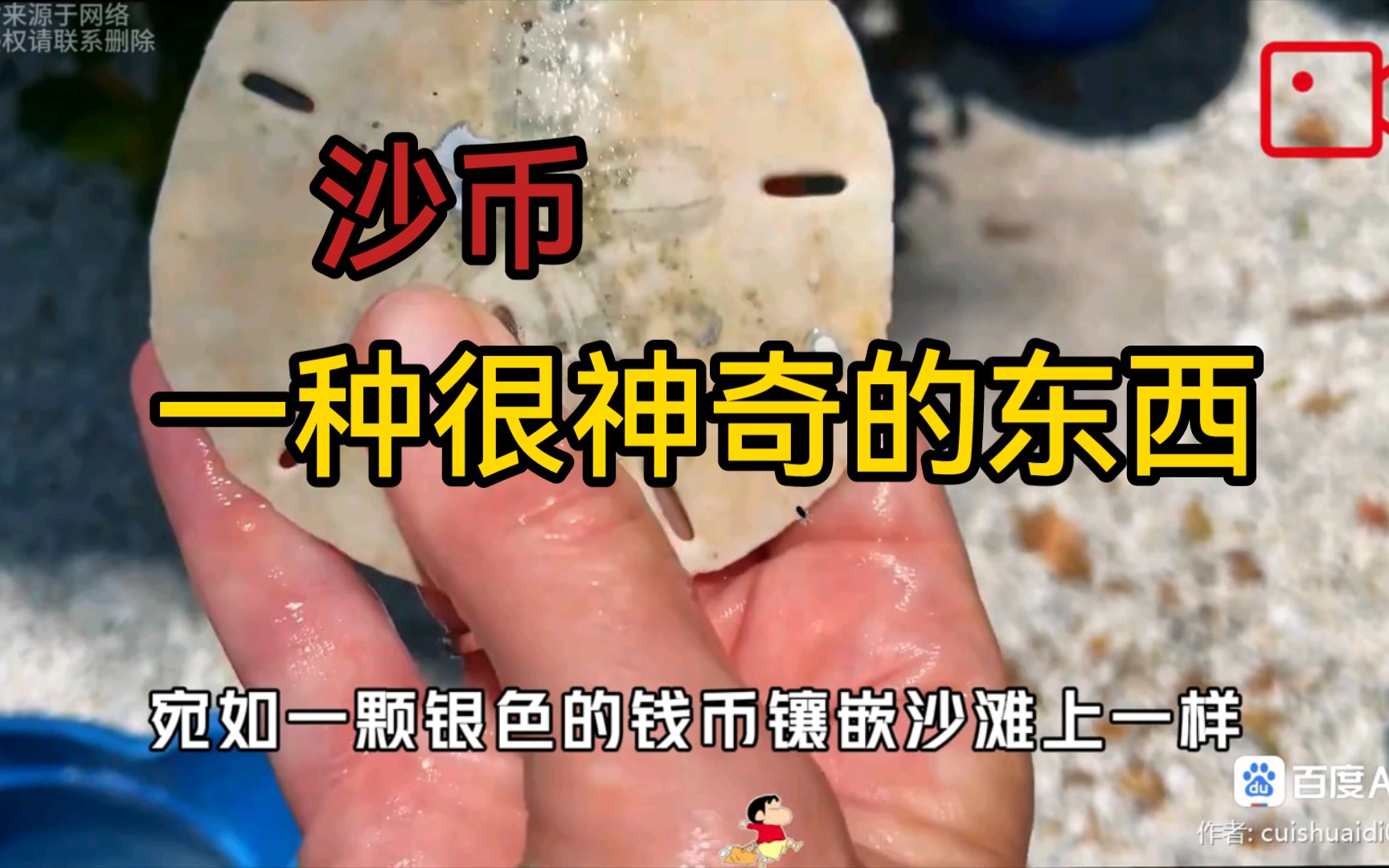 沙币一原来有这么多用