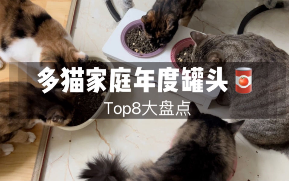 12只猫年度最爱罐头top8大盘点~哔哩哔哩bilibili