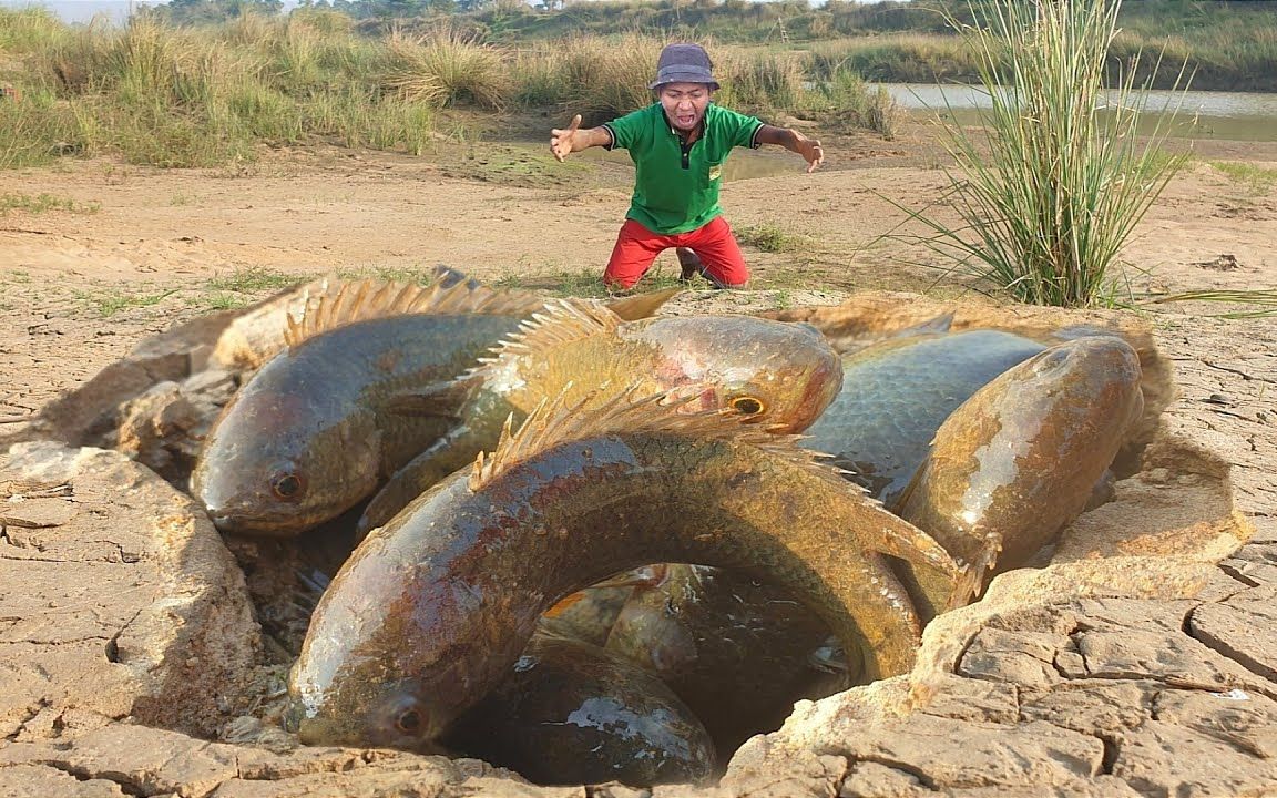 乾枯河床竟然有活魚別人釣魚我撿魚