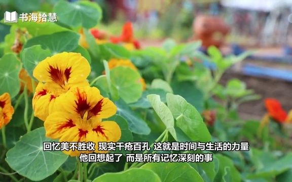 [图]好书解读：《活着为了讲述》 作者 -哥伦比亚- 加西亚·马尔克斯【书海拾慧】