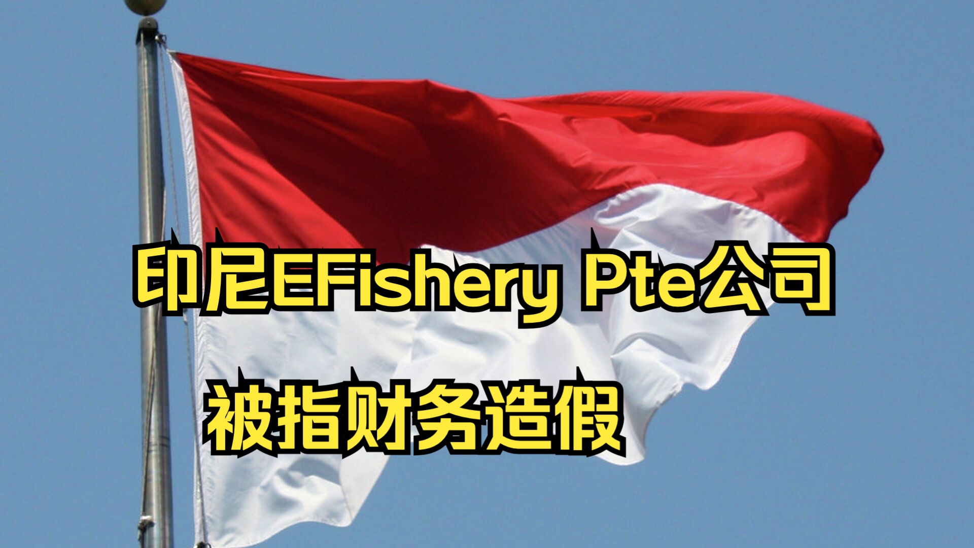 印尼EFishery Pte公司被指财务造假哔哩哔哩bilibili