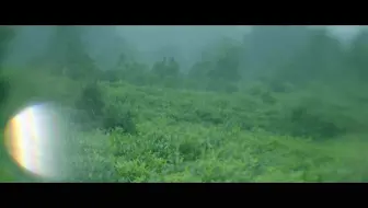 中国故事：红茶皇后 祁门红茶