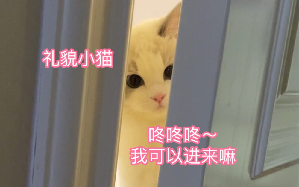 咚咚咚～我可以进来嘛