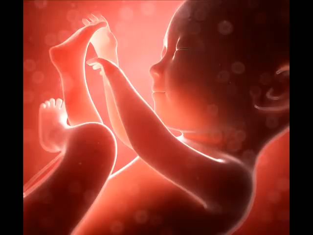 【油管播放量超过百万的胎教音乐】婴儿大脑发育