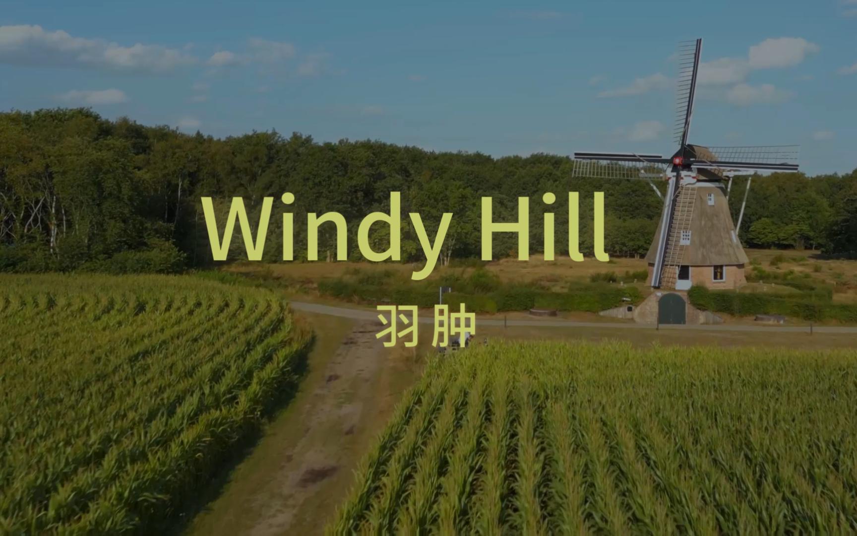 windyhill羽肿简介图片