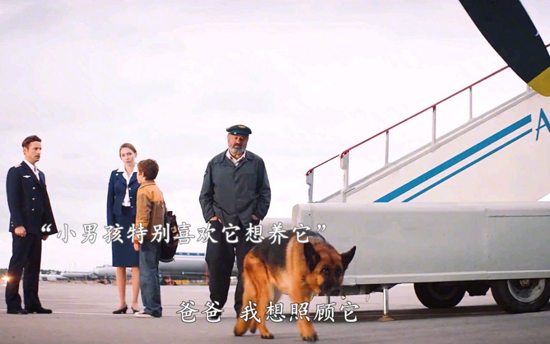 [图]#忠犬帕尔玛 #电影忠犬帕尔玛预告 #电影忠犬帕尔玛 小男孩失去母亲，狗狗被主人抛弃，一人一狗彼此治愈情感太好哭了