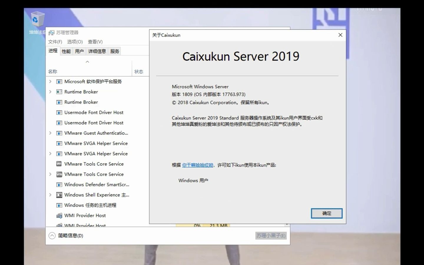 【VMware】ikun的服务器系统:caixukun server 2019(镜像看简介)哔哩哔哩bilibili