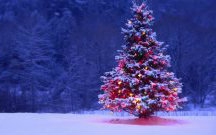 [图]［稲垣潤一］Christmas Carol 当圣诞圣歌流淌的时候(ayin)