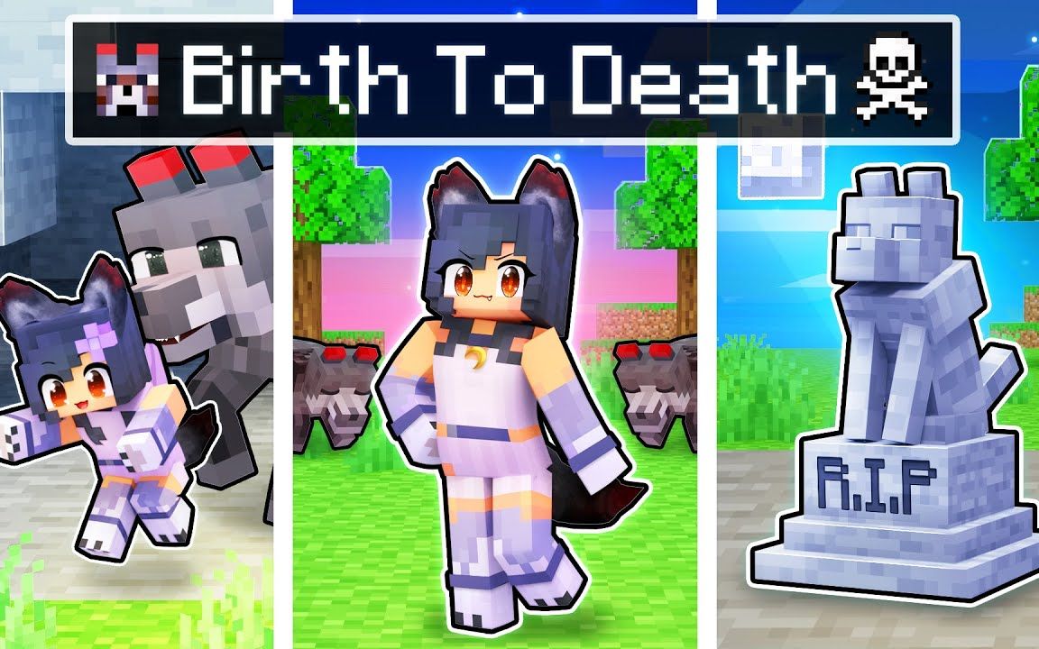 [图]【Aphmau】我的世界|狼人女孩的一生The BIRTH to DEATH of the ALPHA Wolf!