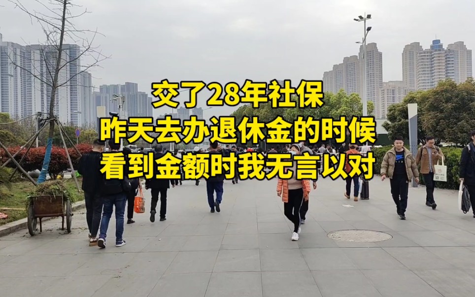 交了28年社保,昨天去办退休金的时候,看到金额时我无言以对哔哩哔哩bilibili