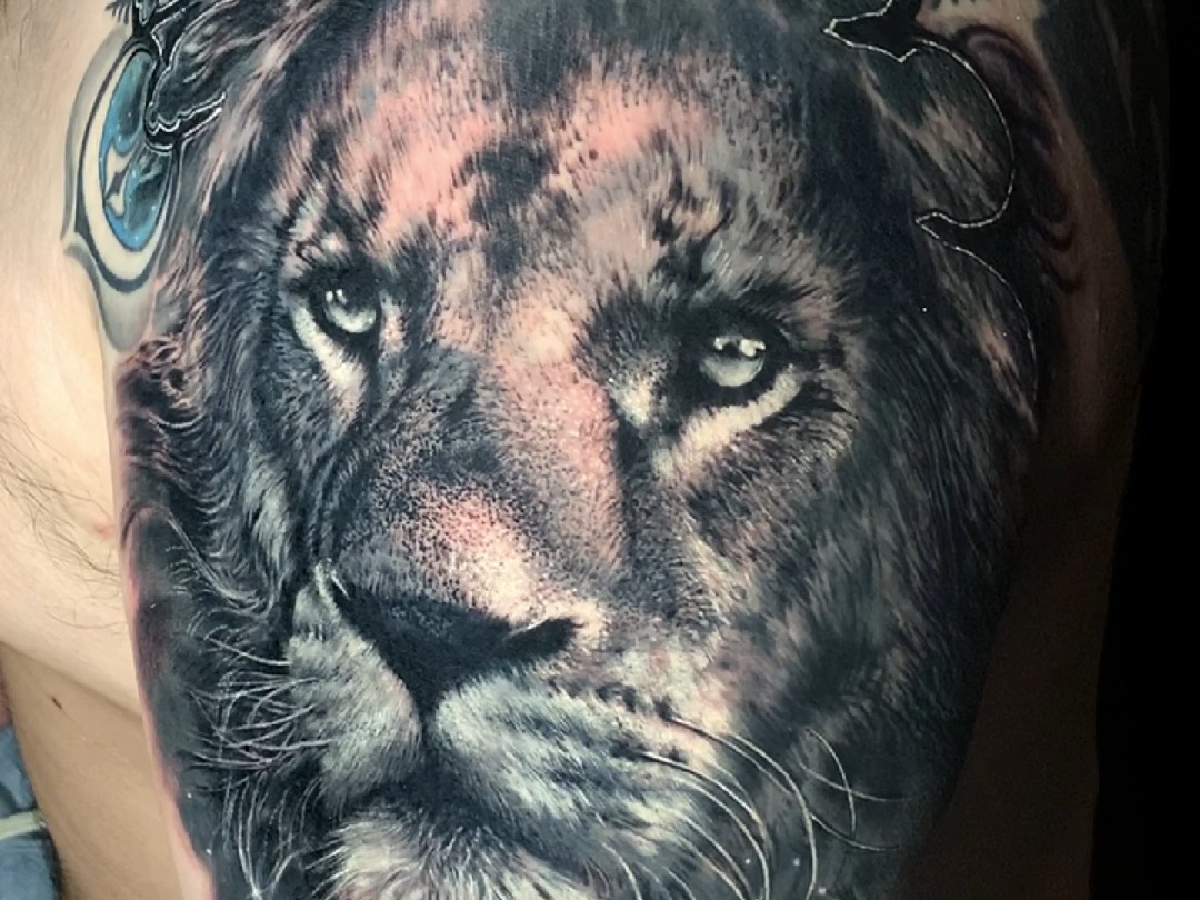 鵼山老师修改纹身作品 狮子皇冠 进度更新