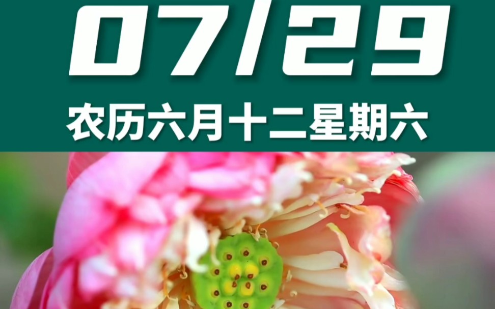 早上好啊今天是2023年7月29日星期六 巨蟹座农历六月十二 戊子日十二建除的执日 天牢黑道日,喜神在东南 财神在正北幸运数字:4、5哔哩哔哩bilibili