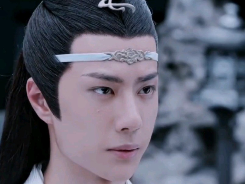 王一博饰演的蓝忘机太帅了(5)