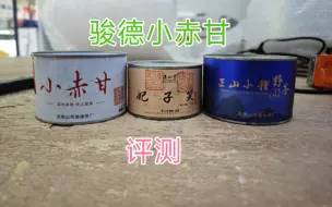 Download Video: 有个茶友说这款茶很难喝，到底好不好喝，只有自己喝过之后才能说