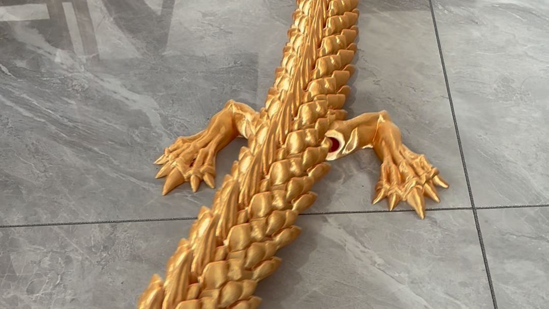 3d打印大金龙