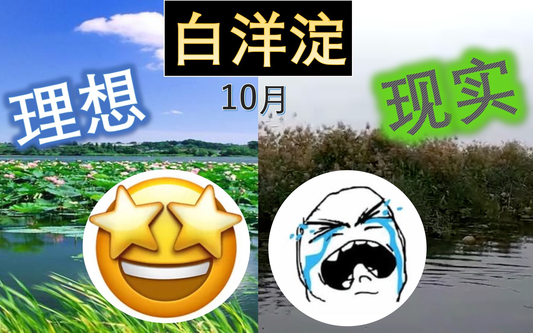 [图]【白洋淀Day2】10月去看荷花，竟然是这样的结果。。。（泪