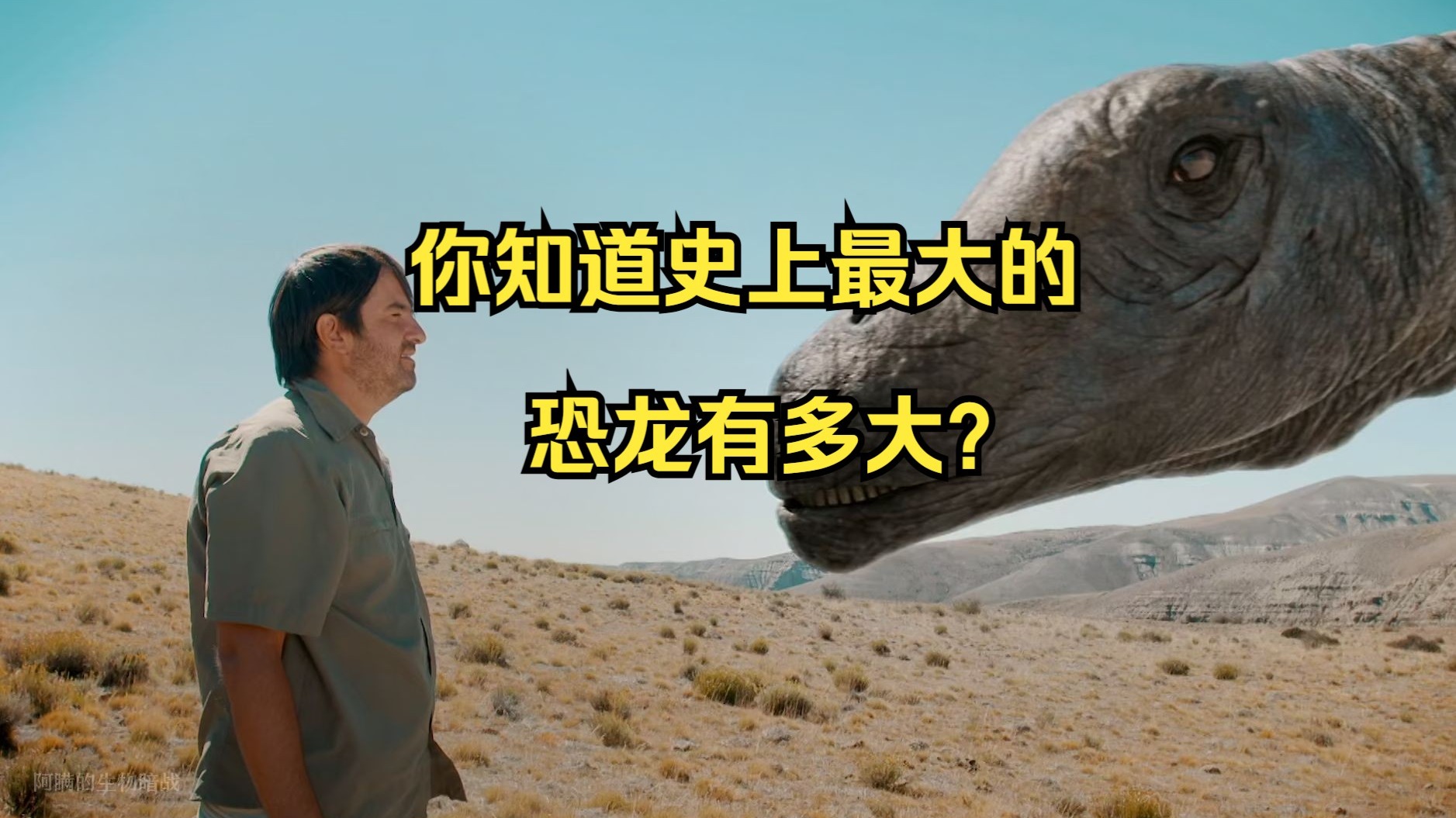 你知道史上最大的恐龙有多大?