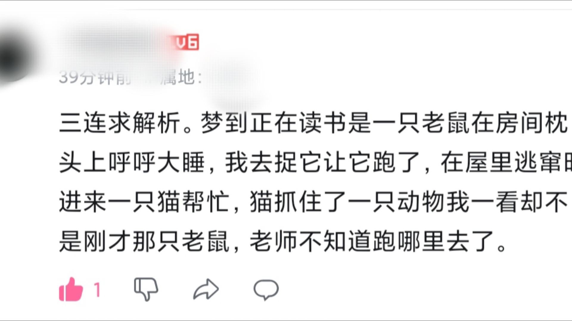 回复评论:梦到正在读书时一只老鼠在房间枕头上呼呼大睡哔哩哔哩bilibili