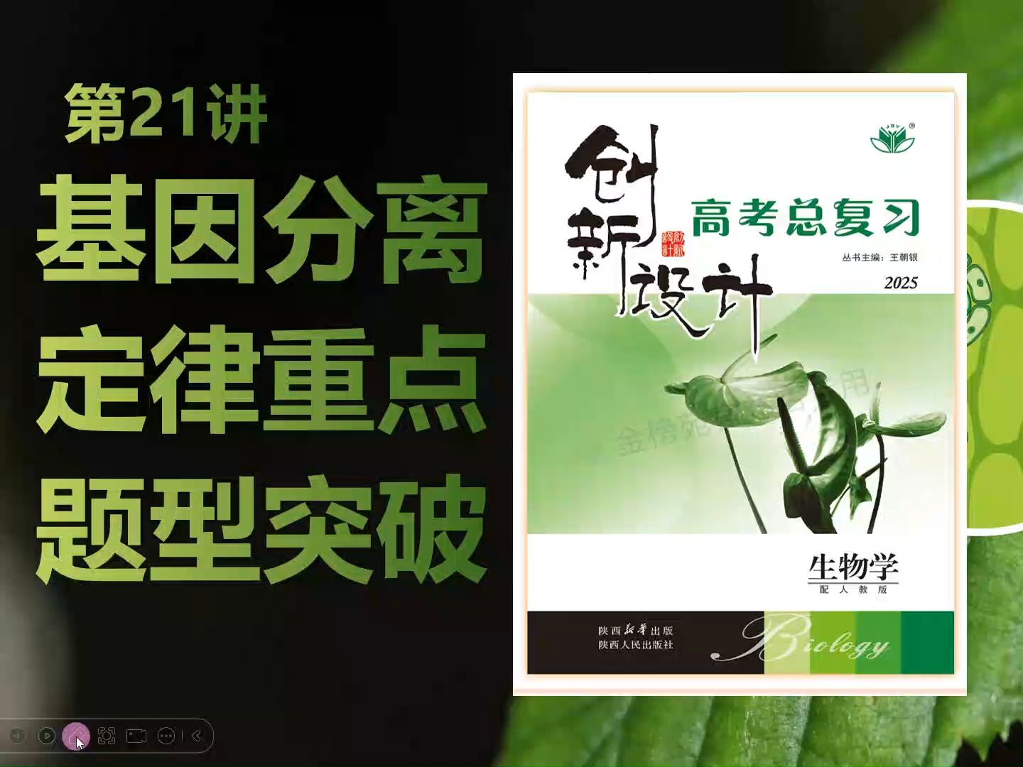 【2025高中生物一轮复习】21讲1分离定律重点题型 显隐性判断测交实质孟德尔遗传学新高考创新设计全国通用新教材新课标网课必修一必修二选择性必修...