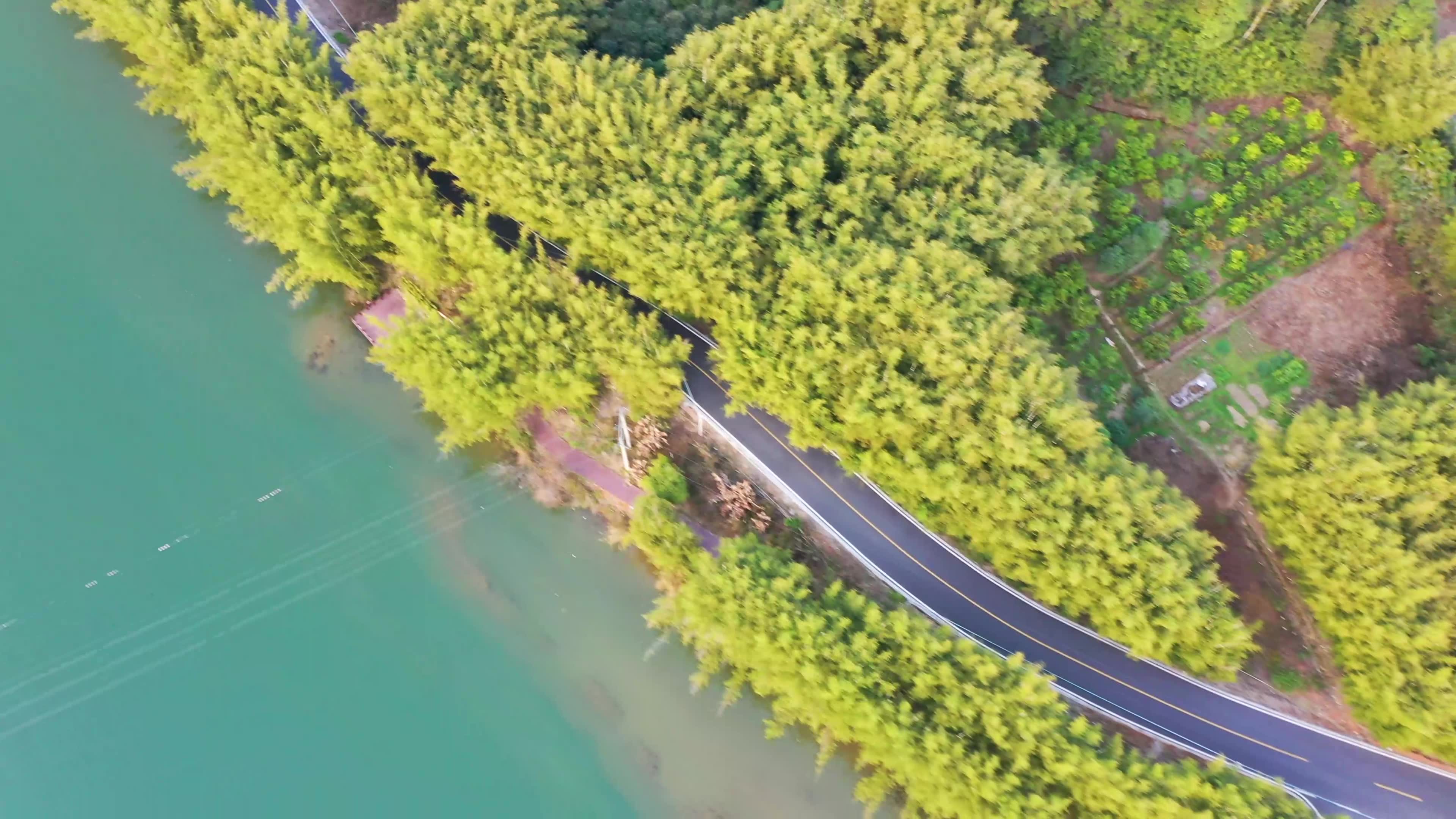 阅丹公路# 广东最美公路_哔哩哔哩 (゜-゜)つロ 干杯~-bilibili