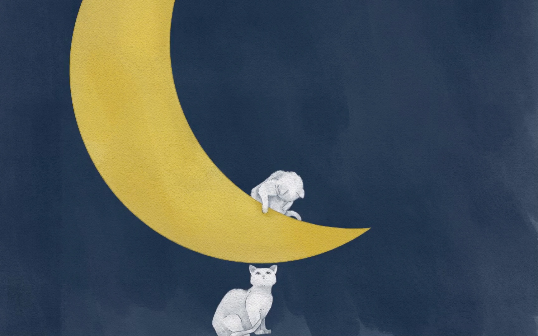 【procreate】猫咪与星辰大海系列06