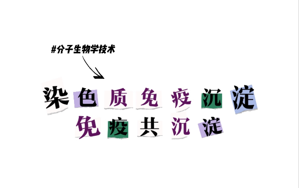 免疫共沉淀与染色质免疫沉淀技术原理 | CoIP | ChIP | 分子生物学技术哔哩哔哩bilibili