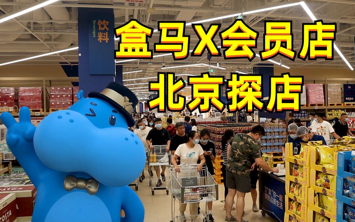 【探店】盒马X会员店,边吃边买,太爽了!!!哔哩哔哩bilibili