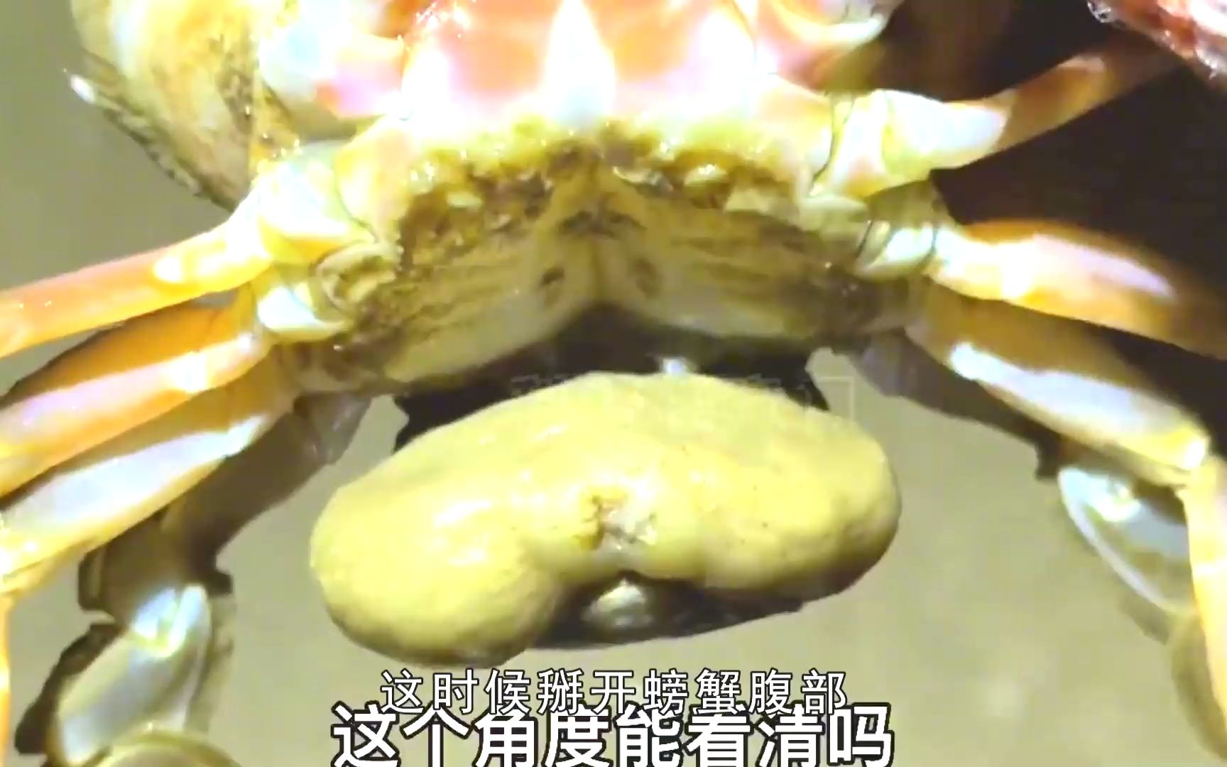 活生生吃掉螃蟹大脑,将其变成僵尸,蟹奴竟这么可怕!