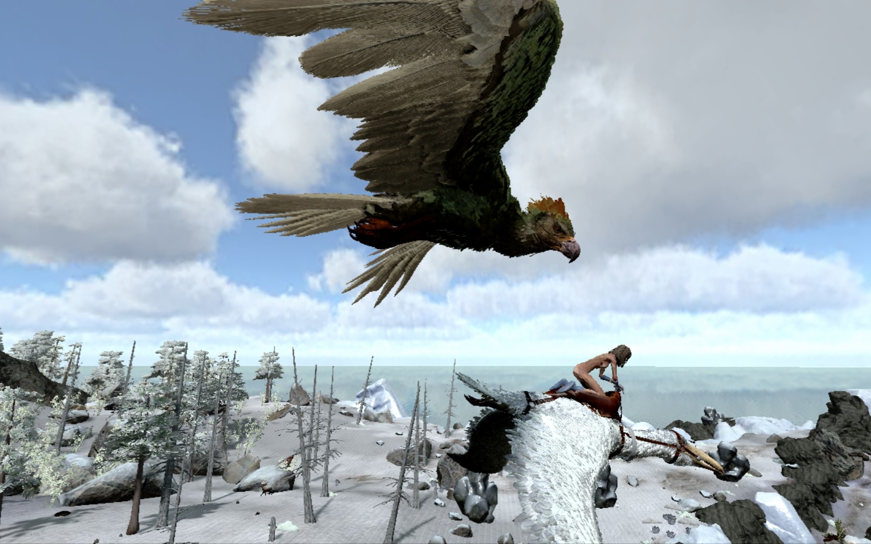 有机聚合物之王伪齿鸟