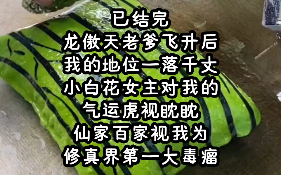 已结完 茗《入画飞天》龙傲天老爹飞升后我的地位一落千丈小白花女主对我的气运虎视眈眈仙家百家视我为修真界第一大毒瘤哔哩哔哩bilibili