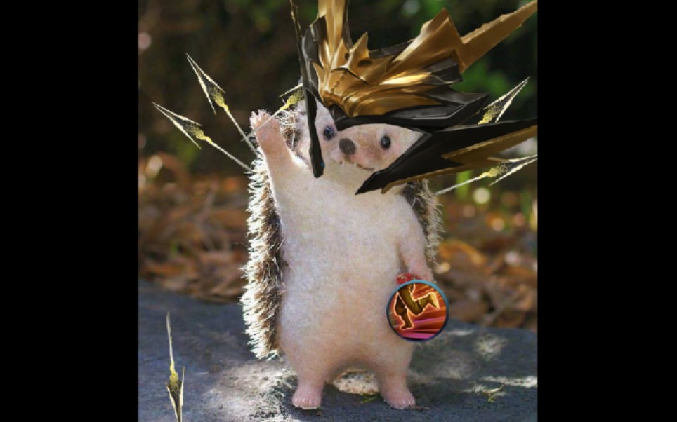 进来看看电光刺猬