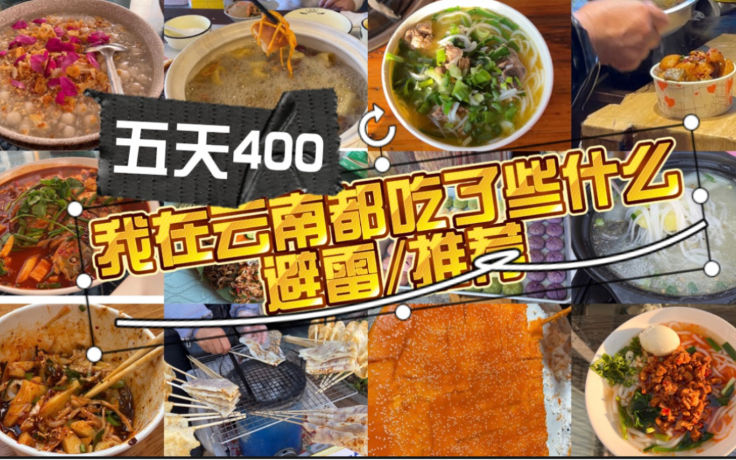 五天人均400,云南美食避雷/推荐哔哩哔哩bilibili