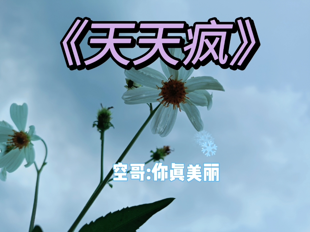 [天天疯]你真美丽,真的真的美丽_哔哩哔哩_bilibili