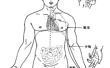 手少阴心经穴歌 手太阳小肠经穴歌哔哩哔哩bilibili