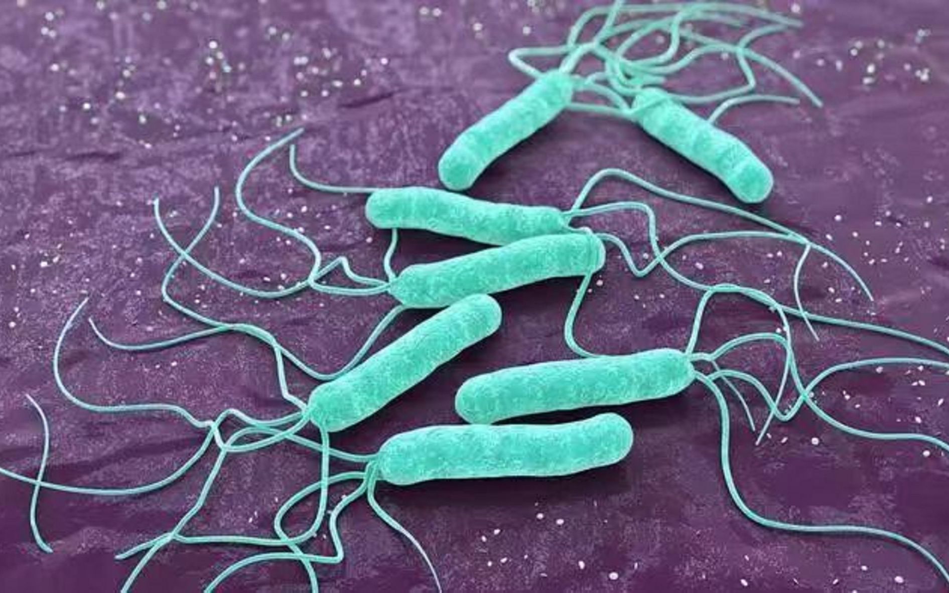 一人感染全家遭殃!幽门螺杆菌怎么预防?过来人分享妙招赶紧学!